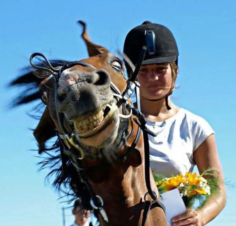 Kako dobiti izvrsnu fotografiju? Jedan od uvjeta je i dobar tajming, a na ovim fotkama je on apsolutno savr&scaron;en. Desetinku kasnije, fotke bi bile sasvim obične.