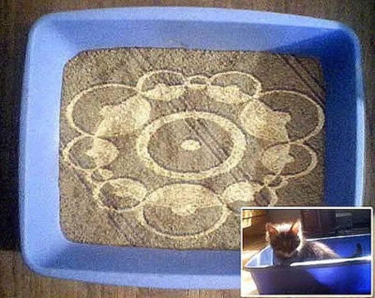 Komuniciraju sa svojim matičnim brodom pomću simbola u pijesku