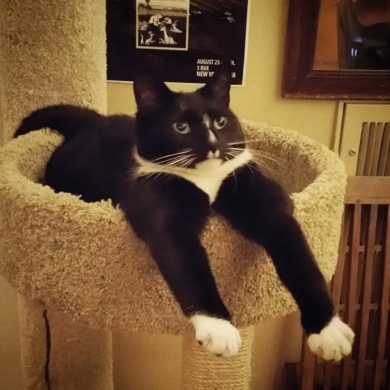 Telepatski komuniciraju sa svojim izvanzemaljskim prijateljima