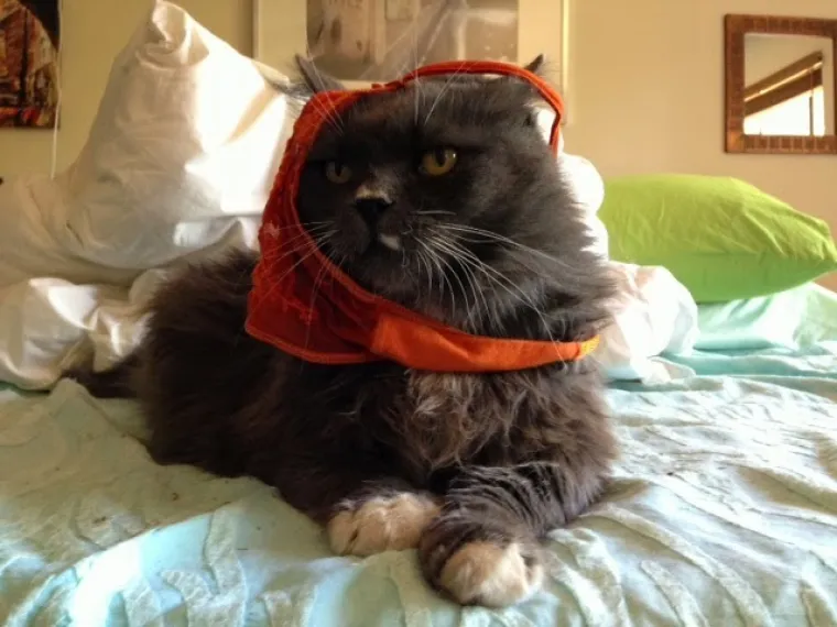 Imaju napredan osjećaj za modu