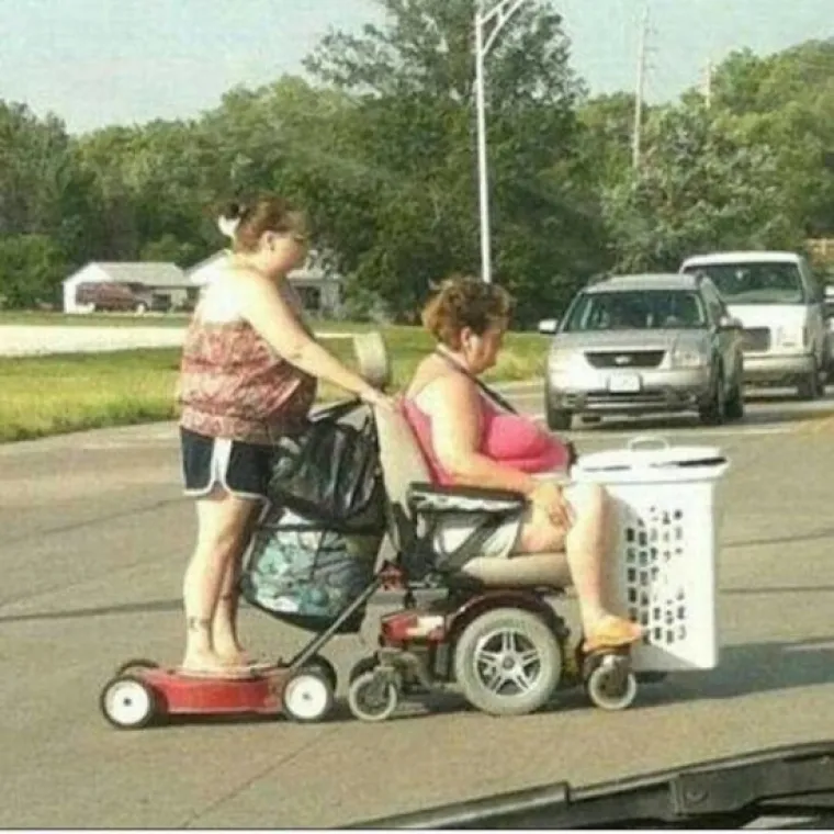 'Bijele nemani' poprimit će sasvim novo značenje kad vidite ove čudake