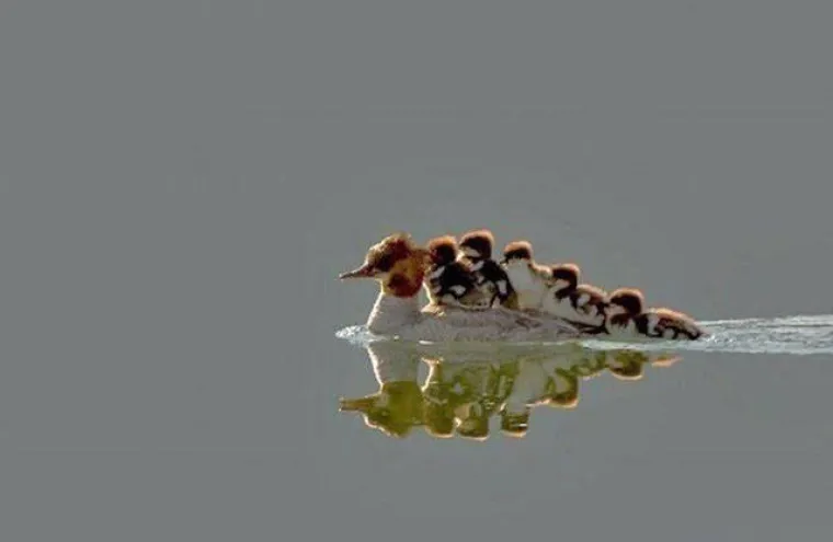 Ovo nisu samo fotke, to su prizori koji promijene ne&scaron;to u čovjeku