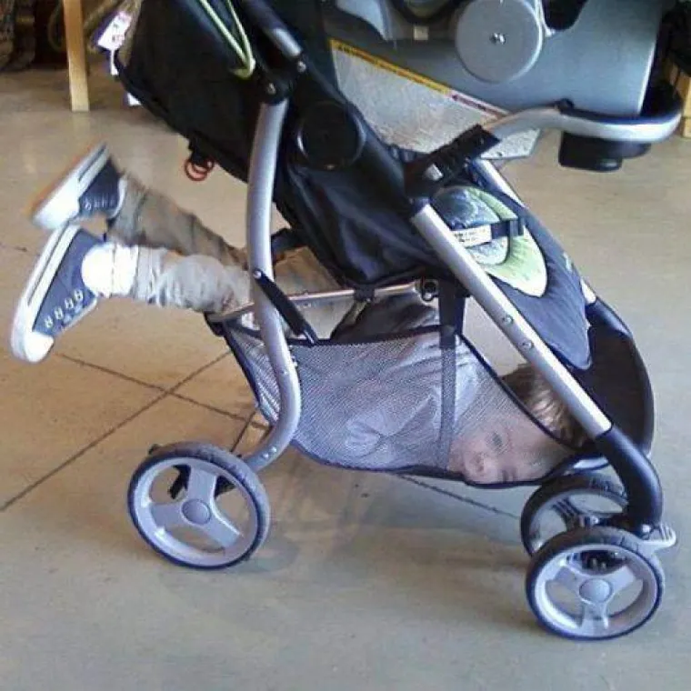 Pamet im nije jača strana, ima li za njih uopće nade?