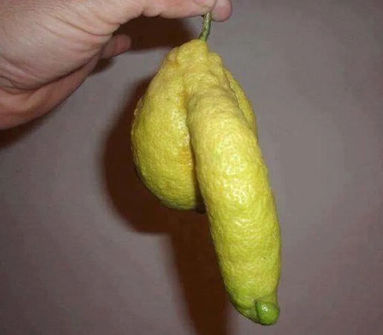 Na &scaron;to vas podsjećaju ovi sasvim nevini prizori?