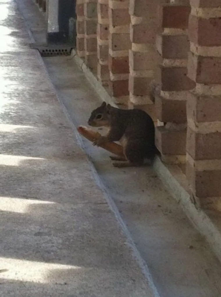 Na &scaron;to vas podsjećaju ovi sasvim nevini prizori?