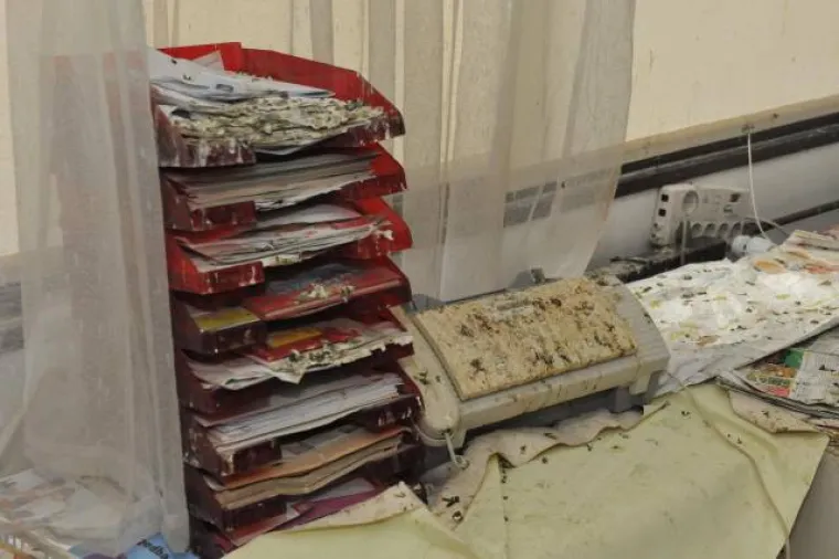 Slovenka poku&scaron;ala 'udomiti' golubove, ovo su posljedice