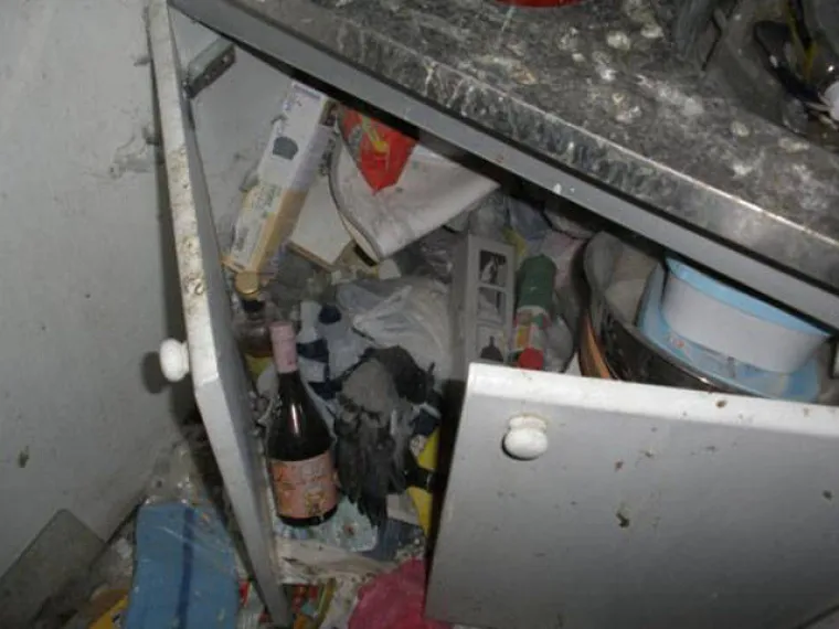 Slovenka poku&scaron;ala 'udomiti' golubove, ovo su posljedice