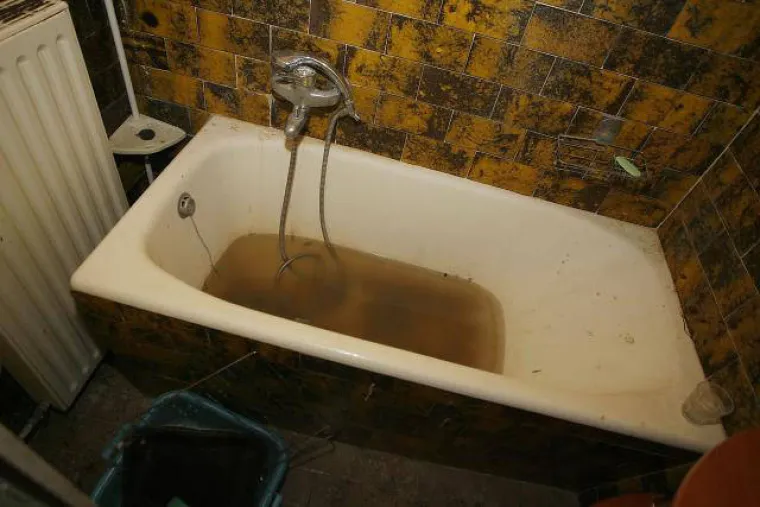 Slovenka poku&scaron;ala 'udomiti' golubove, ovo su posljedice