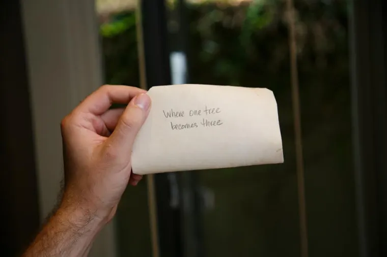 Na pozadini slike pi&scaron;e: "Tamo gdje jedno drvo postaje tri"