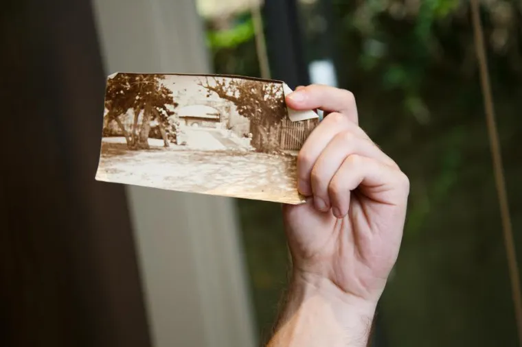 'Troglavo drvo' iz opisa.