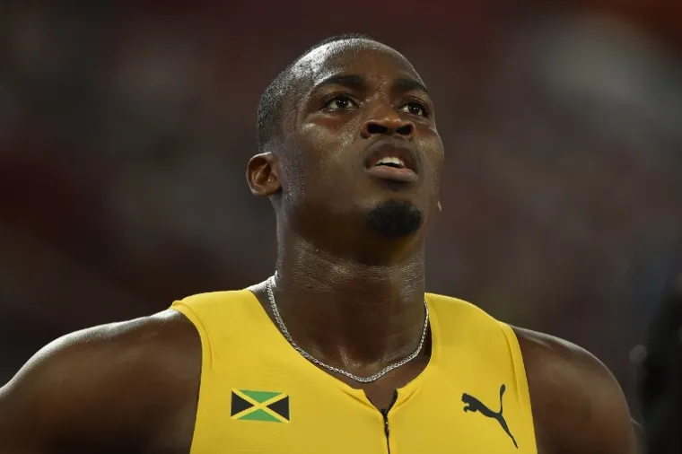 Hansle Parchment (Jam) - 110 prepone