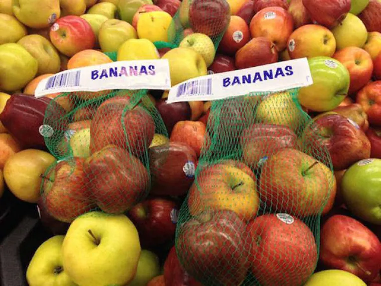 Toliko su beskorisni i očajni u svojem poslu da bi se mogli početi baviti politikom!