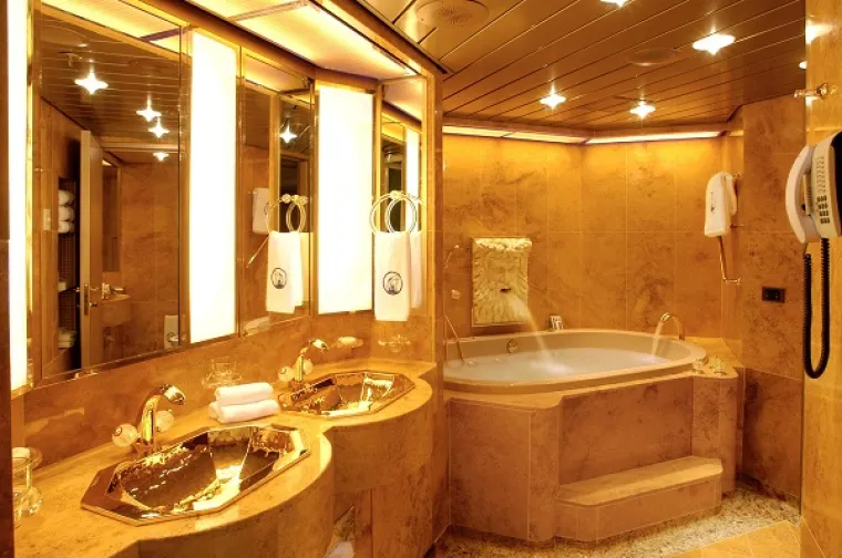 Apartman imena Vrh! Brod se zove MS Oosterdam. Ovako izgleda WC...