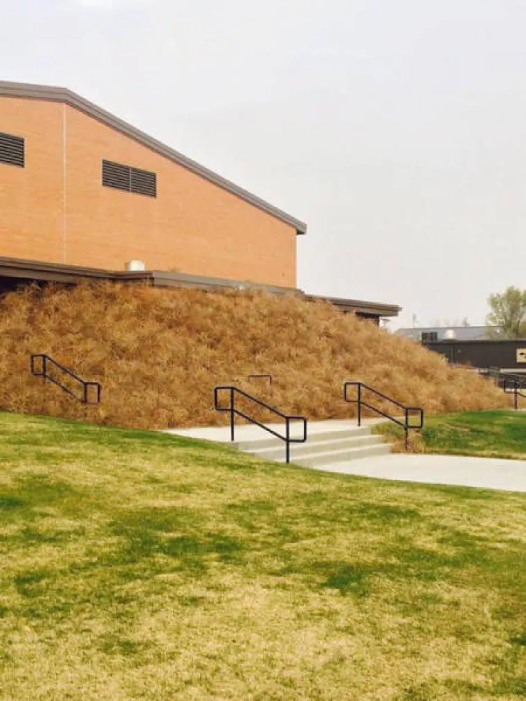 Jak vjetar poigrao se s njihovim lepr&scaron;avim haljinicama, ali prema drugim stvarima nema milosti