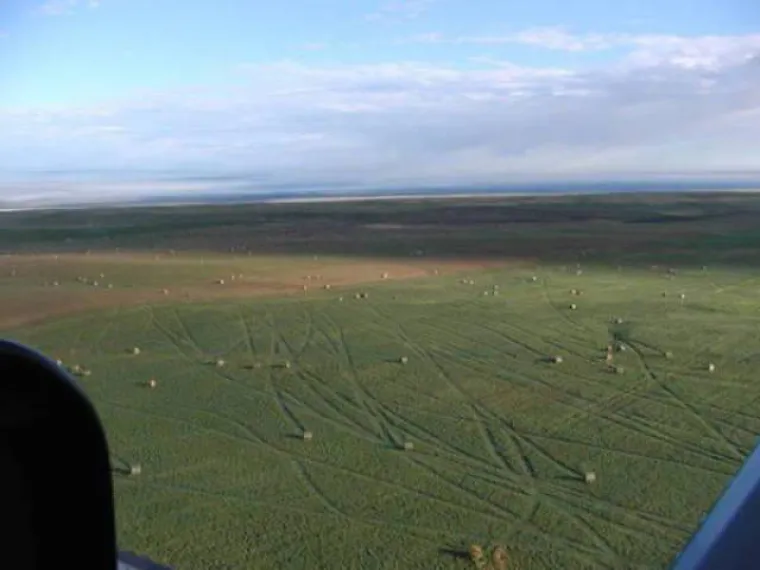 Jak vjetar poigrao se s njihovim lepr&scaron;avim haljinicama, ali prema drugim stvarima nema milosti