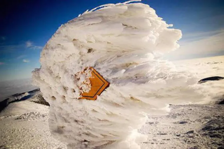 Jak vjetar poigrao se s njihovim lepr&scaron;avim haljinicama, ali prema drugim stvarima nema milosti