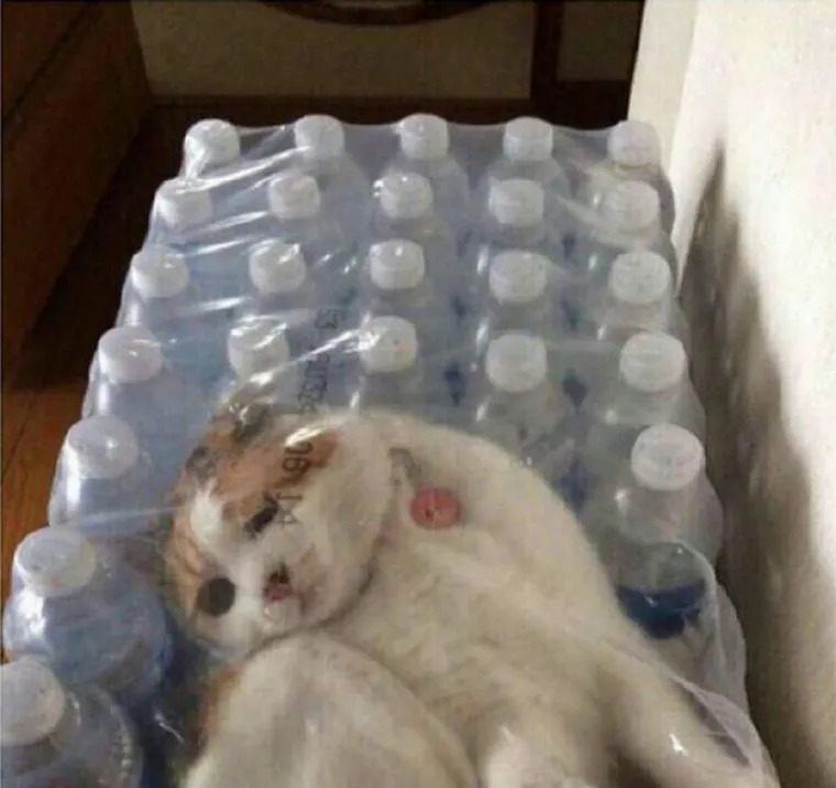 ŽIVOT JE BORBA: Slike koje savr&scaron;eno simboliziraju koliko je život zapravo okrutan