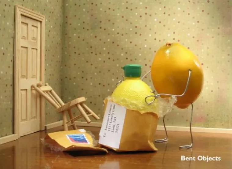 KREATIVNO: Od malo žice i običnih stvari napravio duhovita remek-djela