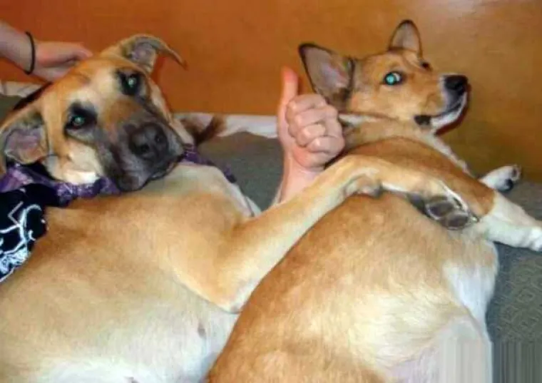 Ne, nije tako, pogledajte opet. :-)