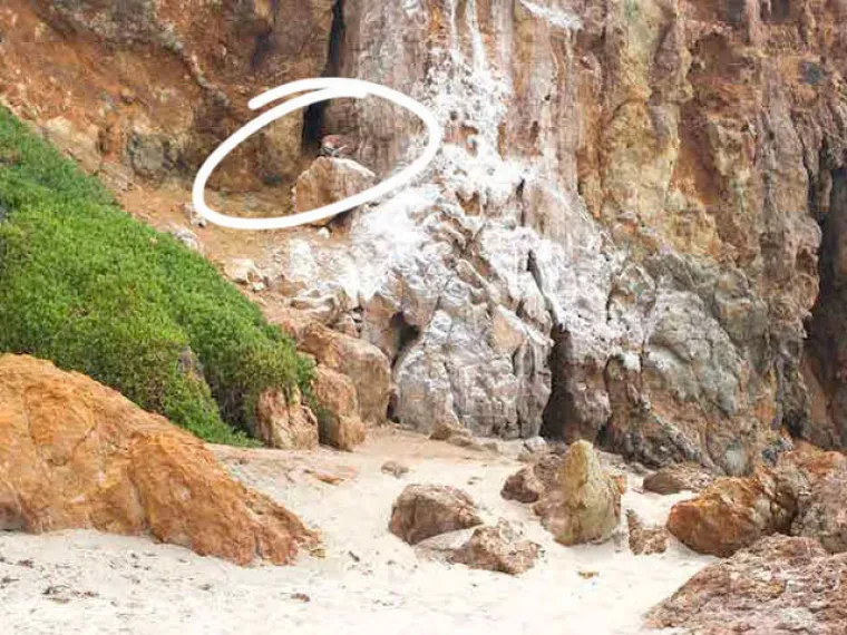 TESTIRAJTE SE: Možete li uočiti gole žene na svim fotografijama?