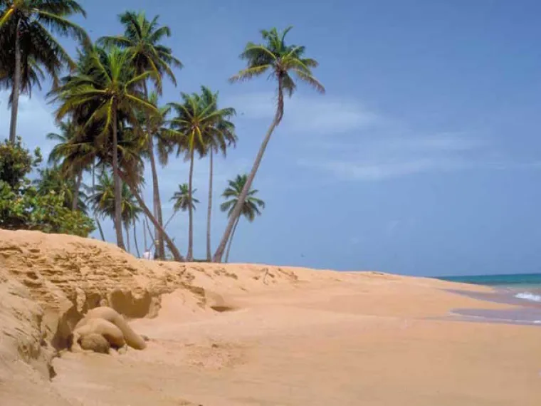 TESTIRAJTE SE: Možete li uočiti gole žene na svim fotografijama?