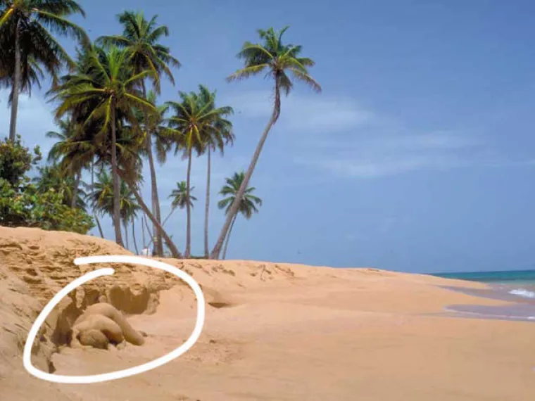 TESTIRAJTE SE: Možete li uočiti gole žene na svim fotografijama?