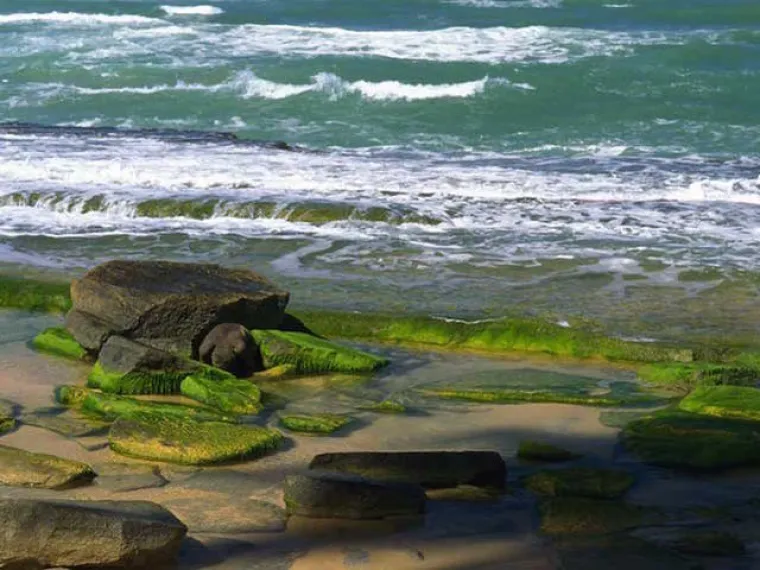 TESTIRAJTE SE: Možete li uočiti gole žene na svim fotografijama?