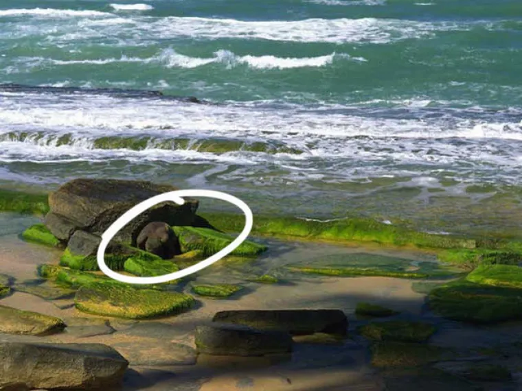 TESTIRAJTE SE: Možete li uočiti gole žene na svim fotografijama?