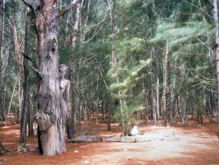 TESTIRAJTE SE: Možete li uočiti gole žene na svim fotografijama?