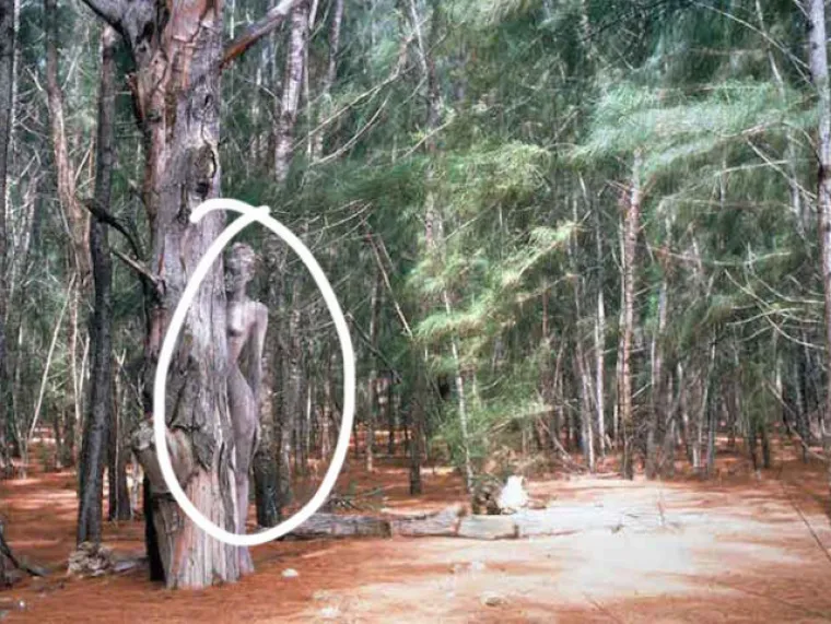 TESTIRAJTE SE: Možete li uočiti gole žene na svim fotografijama?