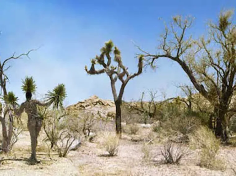 TESTIRAJTE SE: Možete li uočiti gole žene na svim fotografijama?