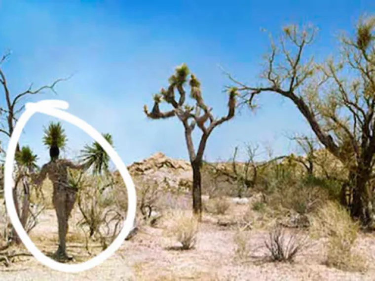 TESTIRAJTE SE: Možete li uočiti gole žene na svim fotografijama?