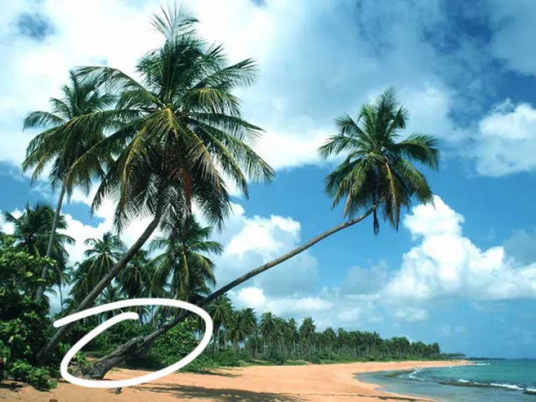 TESTIRAJTE SE: Možete li uočiti gole žene na svim fotografijama?