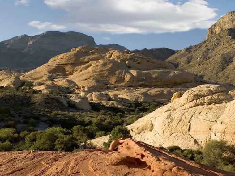 TESTIRAJTE SE: Možete li uočiti gole žene na svim fotografijama?