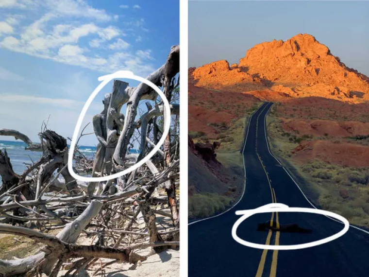 TESTIRAJTE SE: Možete li uočiti gole žene na svim fotografijama?