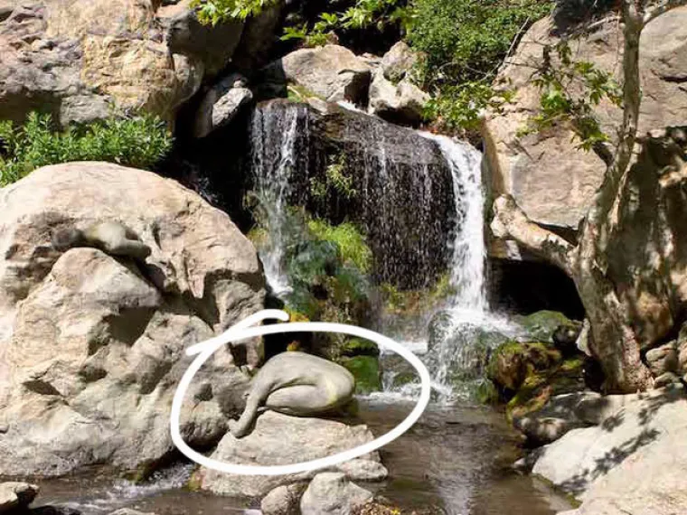 TESTIRAJTE SE: Možete li uočiti gole žene na svim fotografijama?