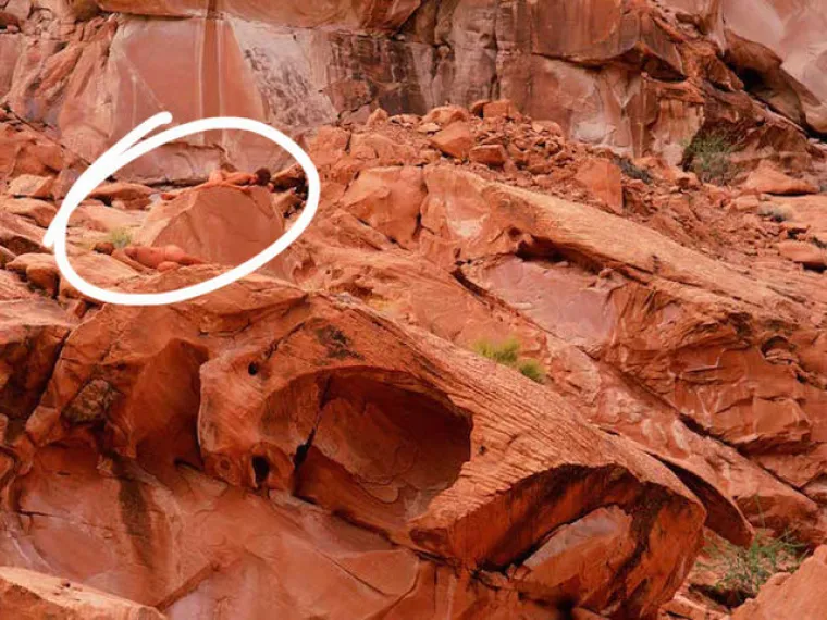 TESTIRAJTE SE: Možete li uočiti gole žene na svim fotografijama?