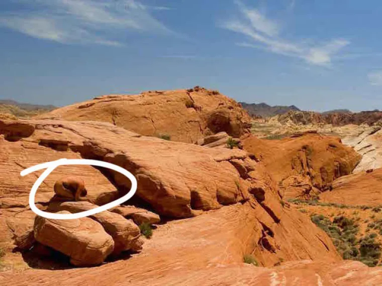 TESTIRAJTE SE: Možete li uočiti gole žene na svim fotografijama?