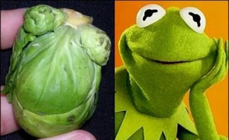 Jeste li ikada prona&scaron;li kopiju svojeg lica u hrani? Oni jesu, pogledajte kako je to