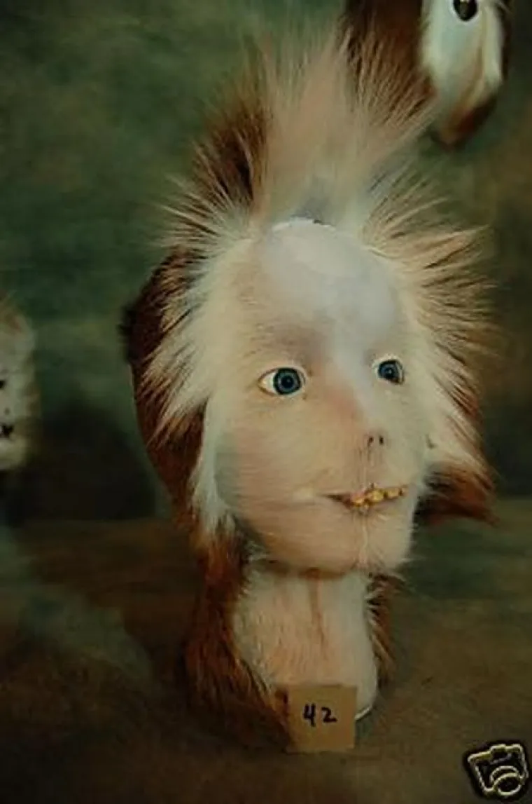 SLUČAJNO ILI NAMJERNO? Najstra&scaron;niji poku&scaron;aji prepariranja