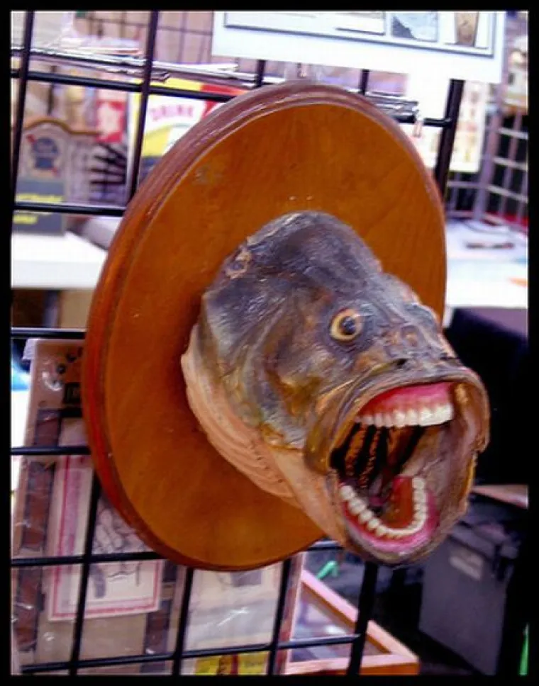 SLUČAJNO ILI NAMJERNO? Najstra&scaron;niji poku&scaron;aji prepariranja