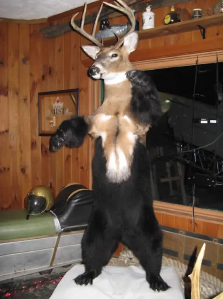 SLUČAJNO ILI NAMJERNO? Najstra&scaron;niji poku&scaron;aji prepariranja