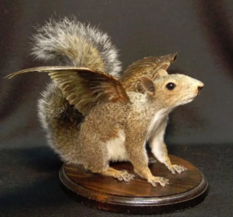 SLUČAJNO ILI NAMJERNO? Najstra&scaron;niji poku&scaron;aji prepariranja