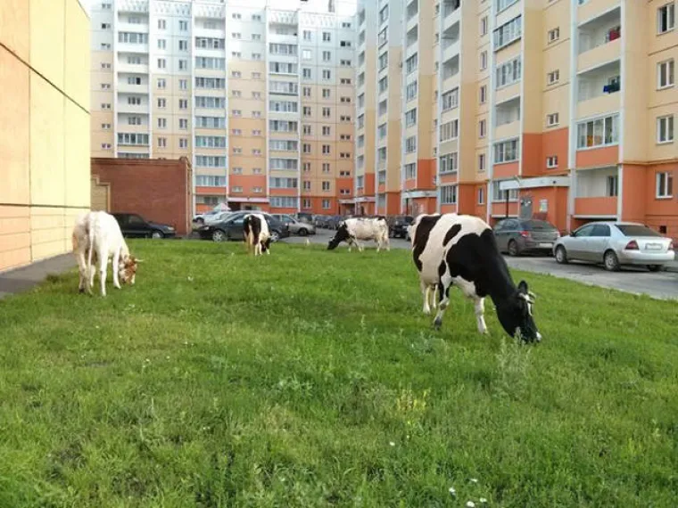 Da smo ostali u Jugi, možda bi i na&scaron;a svakodnevica izgledala poput ruske