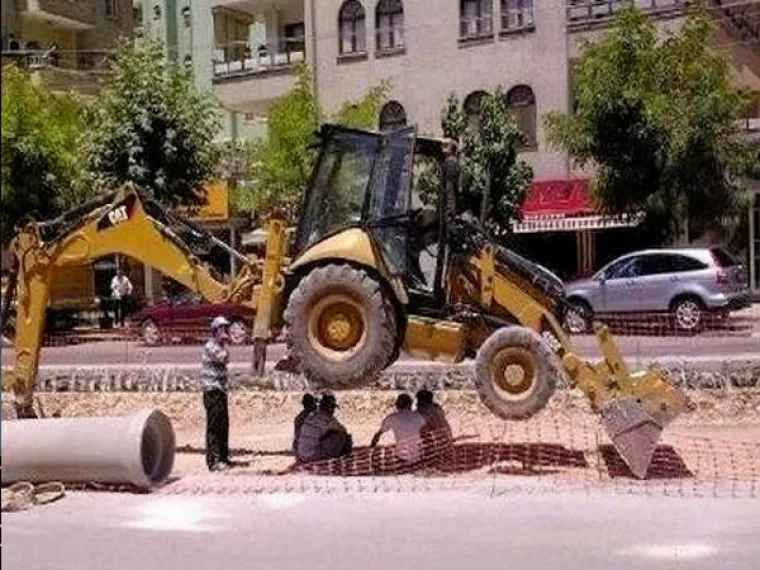 Mislite da za evoluciju nema dokaza? Onda pogledajte prirodni odabir na djelu