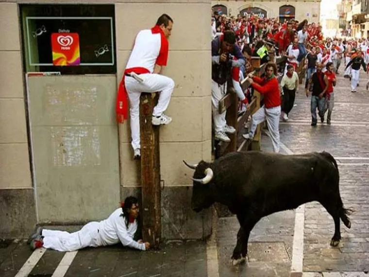 Mislite da za evoluciju nema dokaza? Onda pogledajte prirodni odabir na djelu