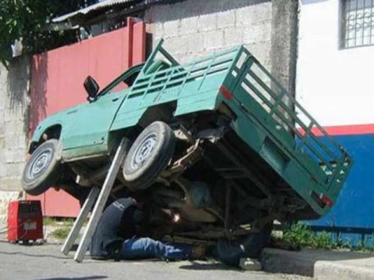 Mislite da za evoluciju nema dokaza? Onda pogledajte prirodni odabir na djelu