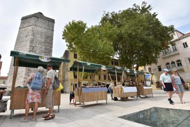 Kod Trga 5 bunara odrzava se 8. festival smokava, manifestacija posvecena ovoj kraljici voca, kako joj nutricionisti i brojni ljubitelji tepaju. Ove se godine odrzava osmi put pod geslom Mladost, zdravlje, ljepota, cime organizatori zele naglasiti nutricionisticku vrijednost ove stoljetne hraniteljice Dalmacije.