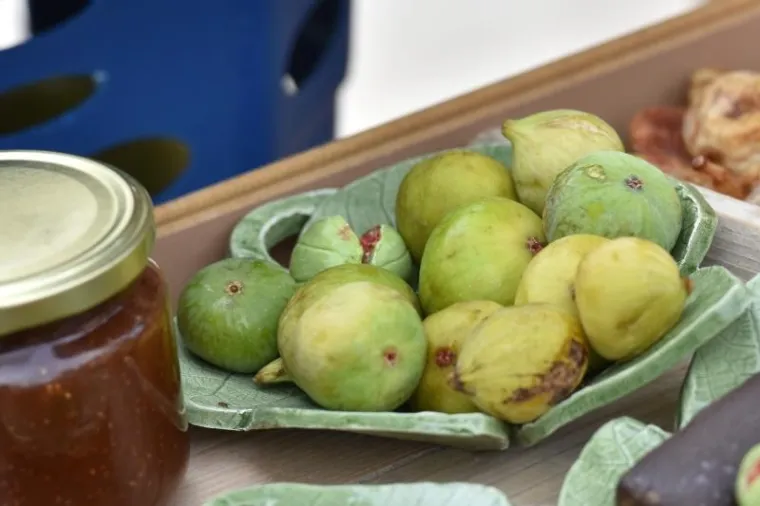 Kod Trga 5 bunara odrzava se 8. festival smokava, manifestacija posvecena ovoj kraljici voca, kako joj nutricionisti i brojni ljubitelji tepaju. Ove se godine odrzava osmi put pod geslom Mladost, zdravlje, ljepota, cime organizatori zele naglasiti nutricionisticku vrijednost ove stoljetne hraniteljice Dalmacije.