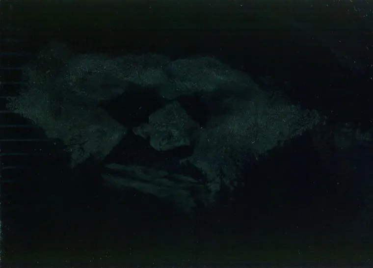 Umjesto stražnjica, fotokopirali svoja lica, a ovu su jezivi rezultati